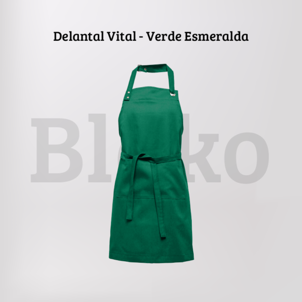 READY TO GO - Delantal Vital